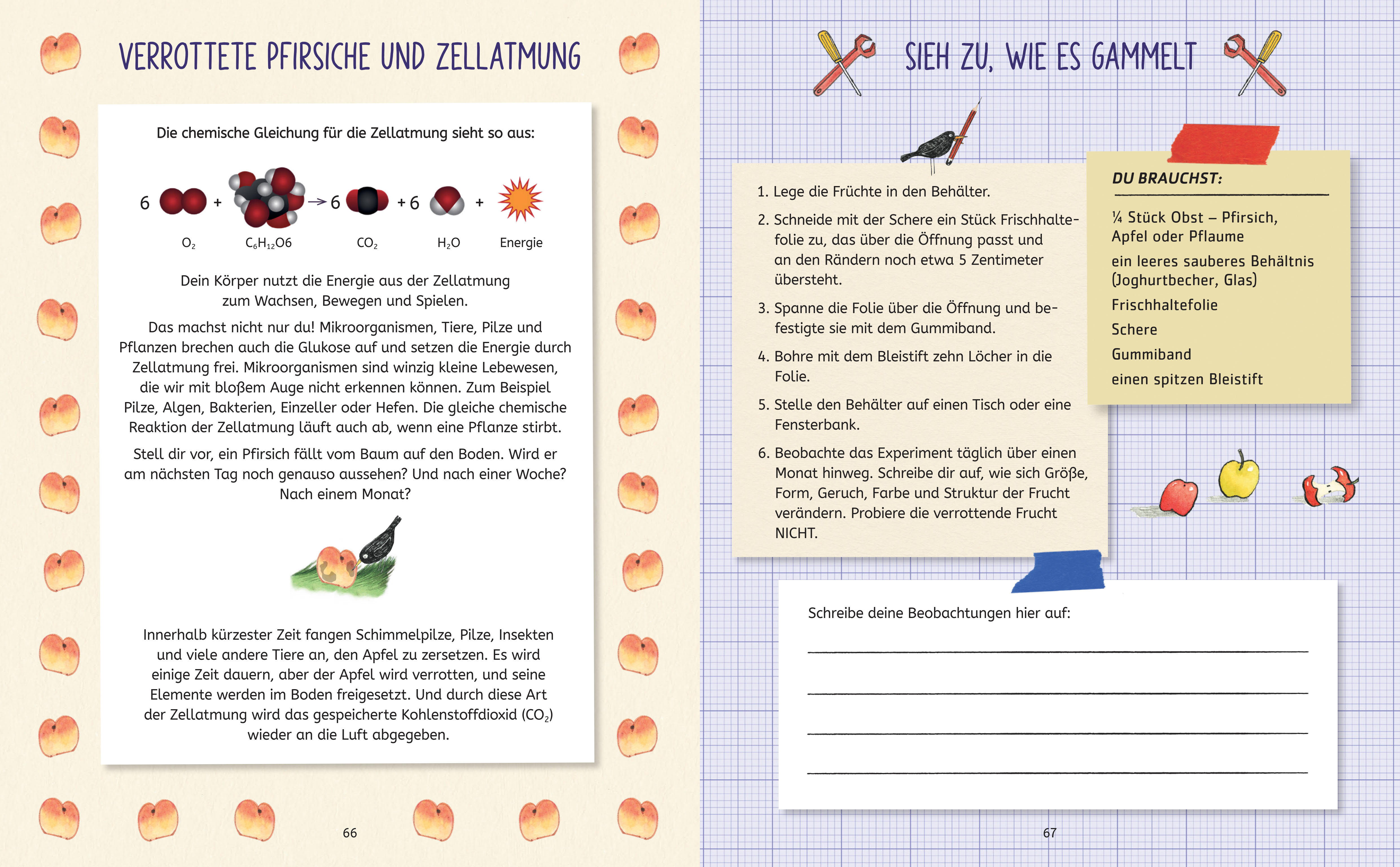 Produktbild: Die Forscherbande: Experimentieren und Entdecken mit Ada Twist (9783833908606 )