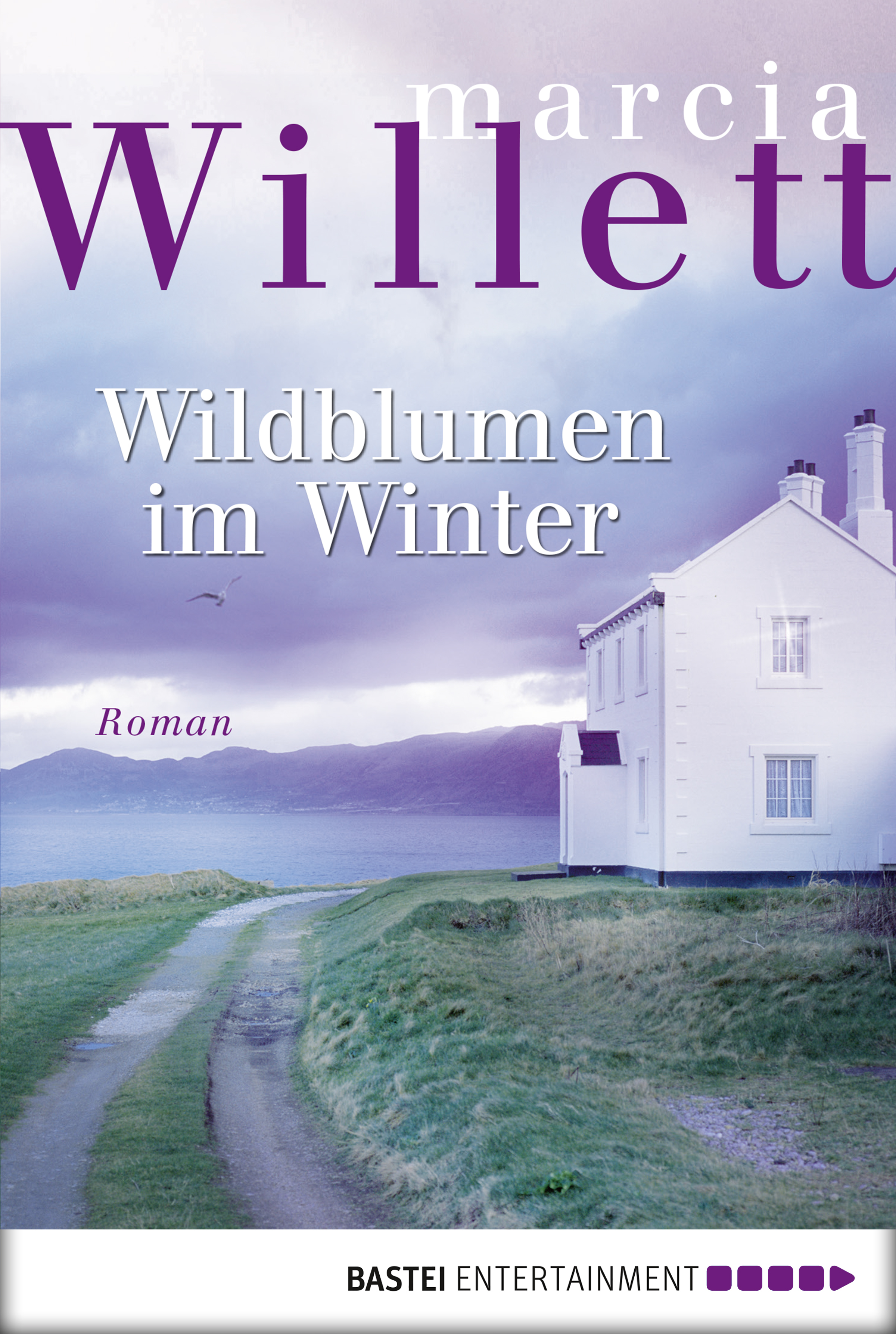 Produktbild: Wildblumen im Winter (9783732501588 )